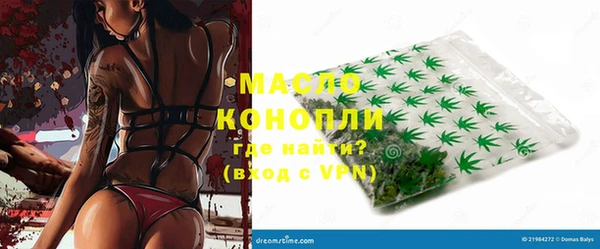 ECSTASY Пересвет