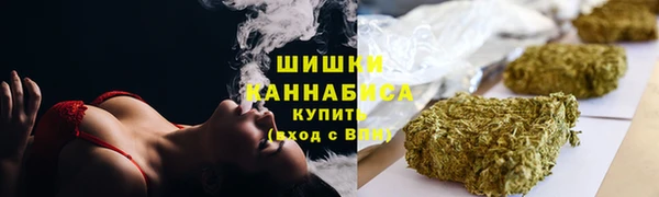 ECSTASY Пересвет