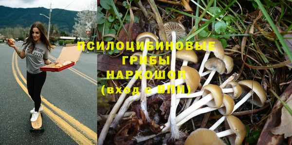 гидропоника Покровск