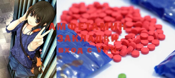 ECSTASY Пересвет