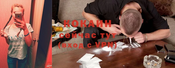 ECSTASY Пересвет